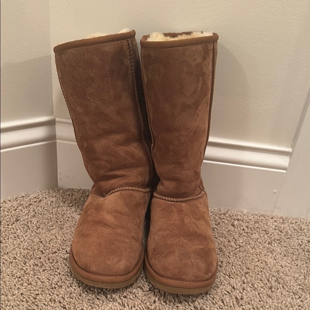 Classic Women's Tall Shearling-Lined Boot - Chestnut Brown